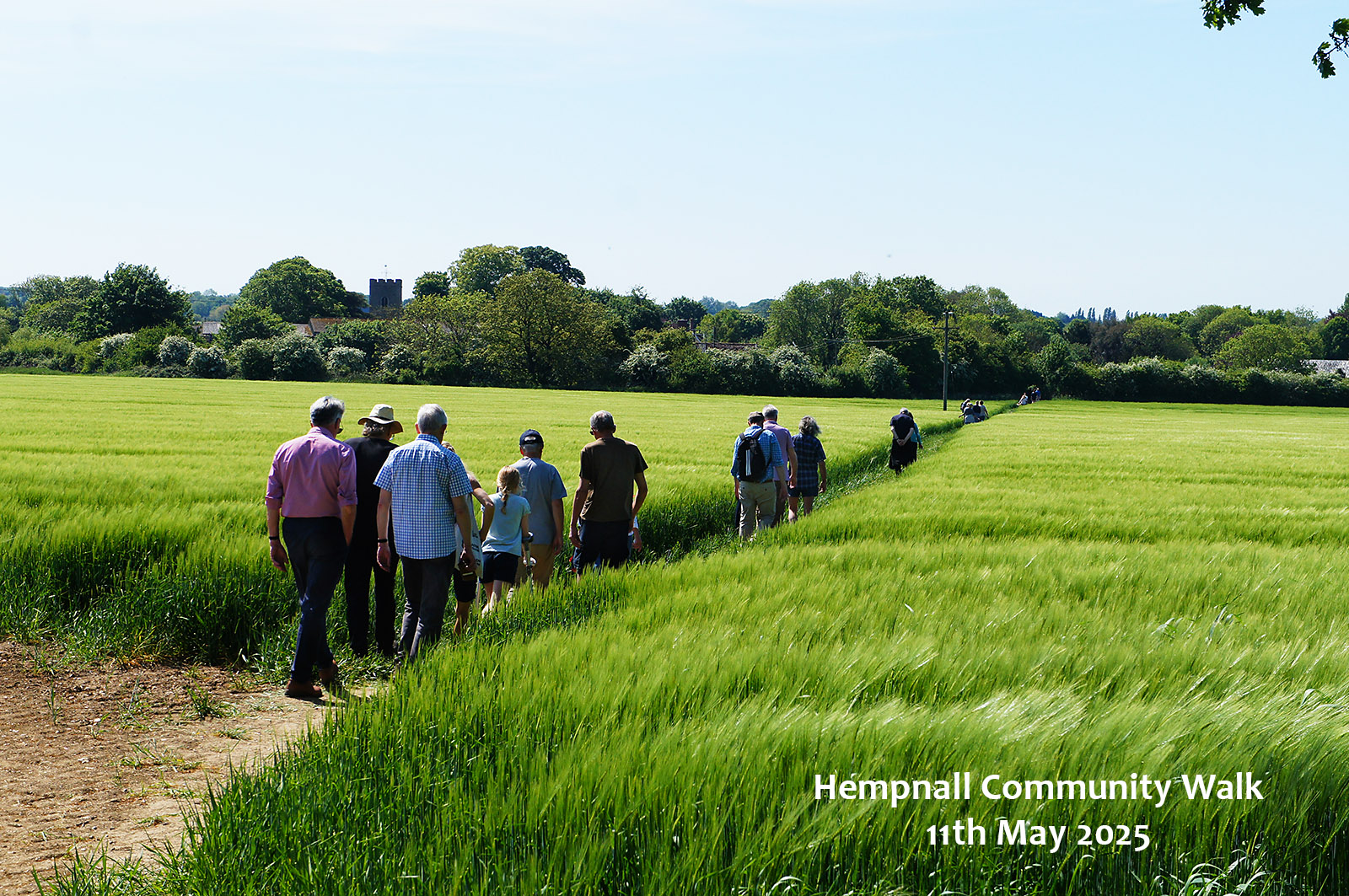 South Norfolk countryside